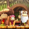 Donkey Kong Country Tropical Freeze US Nintendo Switch CD Key