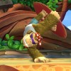 Donkey Kong Country Tropical Freeze US Nintendo Switch CD Key