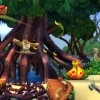 Donkey Kong Country Tropical Freeze US Nintendo Switch CD Key