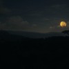 theHunter: Call of the Wild - Vurhonga Savanna DLC Steam CD Key
