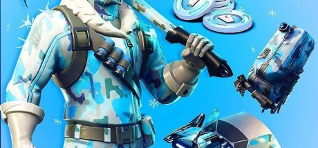 Fortnite Deep Freeze Bundle EU Nintendo Switch CD Key