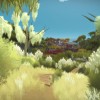 The Witness GOG CD Key
