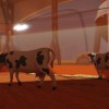 Surviving Mars: Project Laika DLC Steam CD Key
