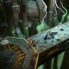 Warhammer: Chaosbane Steam CD Key Warhammer: Chaosbane Steam CD Key