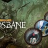 Warhammer: Chaosbane - Helmet Pack DLC Steam CD Key Warhammer: Chaosbane - Helmet Pack DLC Steam CD Key