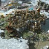 Endless Legend - Classic Edition EU Steam CD Key