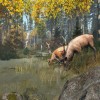 DayZ EU PC Steam CD Key