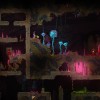 Noita Steam CD Key