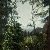 The Forest PC Steam CD Key