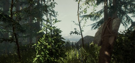 The Forest PC Steam CD Key The Forest PC Steam CD Key