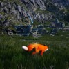 Spirit of the North Steam CD Key