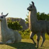 Planet Zoo - South America Pack DLC Steam CD Key