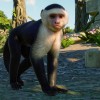 Planet Zoo - South America Pack DLC Steam CD Key