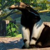 Planet Zoo - South America Pack DLC Steam CD Key