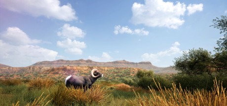Hunting Simulator 2 EU Steam CD Key Hunting Simulator 2 EU Steam CD Key