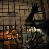 The Walking Dead: 400 Days DLC EU Steam CD Key