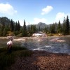 Hunting Simulator 2 Bear Hunter Edition Steam CD Key Hunting Simulator 2 Bear Hunter Edition Steam CD Key