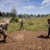 Medieval Dynasty Steam CD Key