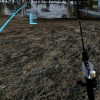 Ultimate Fishing Simulator VR Steam CD Key