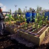 State of Decay 2: Juggernaut Edition EU XBOX One / Xbox Series X|S / Windows 10 CD Key