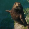 Planet Zoo - Aquatic Pack DLC Steam CD Key