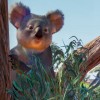 Planet Zoo - Australia Pack DLC EU Steam CD Key
