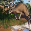 Planet Zoo - Australia Pack DLC EU Steam CD Key