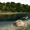 Ultimate Fishing Simulator EU Steam CD Key