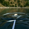 Ultimate Fishing Simulator EU Steam CD Key