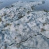 Crusader Kings III - Northern Lords DLC Steam CD Key