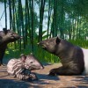 Planet Zoo - Southeast Asia Animal Pack DLC PC Steam CD Key Planet Zoo - Southeast Asia Animal Pack DLC PC Steam CD Key