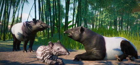 Planet Zoo - Southeast Asia Animal Pack DLC PC Steam CD Key Planet Zoo - Southeast Asia Animal Pack DLC PC Steam CD Key