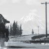 Days Gone PC Steam CD Key