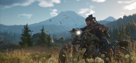 Days Gone EU Steam CD Key Days Gone EU Steam CD Key
