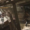 Tom Clancy's The Division 2 Gold Edition US XBOX One / Xbox Series X|S CD Key