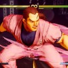 Street Fighter V - Season 5 Character Pass DLC Steam CD Key