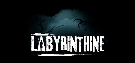 Labyrinthine PC Steam CD Key