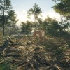 theHunter: Call of the Wild - Rancho del Arroyo DLC PC Steam CD Key