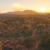 theHunter: Call of the Wild - Rancho del Arroyo DLC PC Steam CD Key