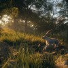 theHunter: Call of the Wild - Rancho del Arroyo DLC PC Steam CD Key