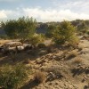 theHunter: Call of the Wild - Rancho del Arroyo DLC PC Steam CD Key