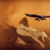 The Falconeer EU XBOX One / XBOX Series X|S CD Key