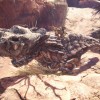 Monster Hunter: World EMEA/ANZ Steam CD Key Monster Hunter: World EMEA/ANZ Steam CD Key