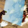 ONE PIECE: PIRATE WARRIORS 4 RU PC Steam CD Key