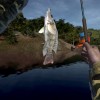 Ultimate Fishing Simulator - Kariba Dam DLC Steam CD Key