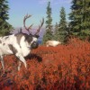 theHunter: Call of the Wild - Yukon Valley DLC PC Steam CD Key