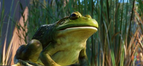 Planet Zoo - North America Animal Pack DLC Steam CD Key Planet Zoo - North America Animal Pack DLC Steam CD Key