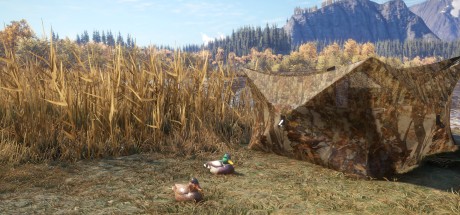 theHunter: Call of the Wild - Duck and Cover Pack DLC PC Steam CD Key