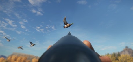 theHunter: Call of the Wild - Duck and Cover Pack DLC PC Steam CD Key