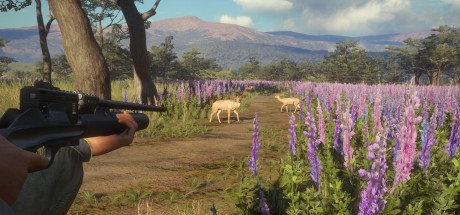 theHunter: Call of the Wild - Weapon Pack 3 DLC PC Steam CD Key